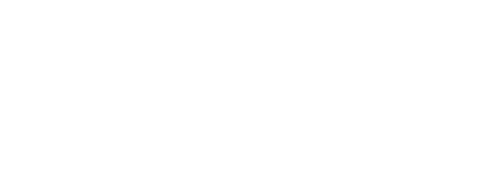 Sage AI Performance